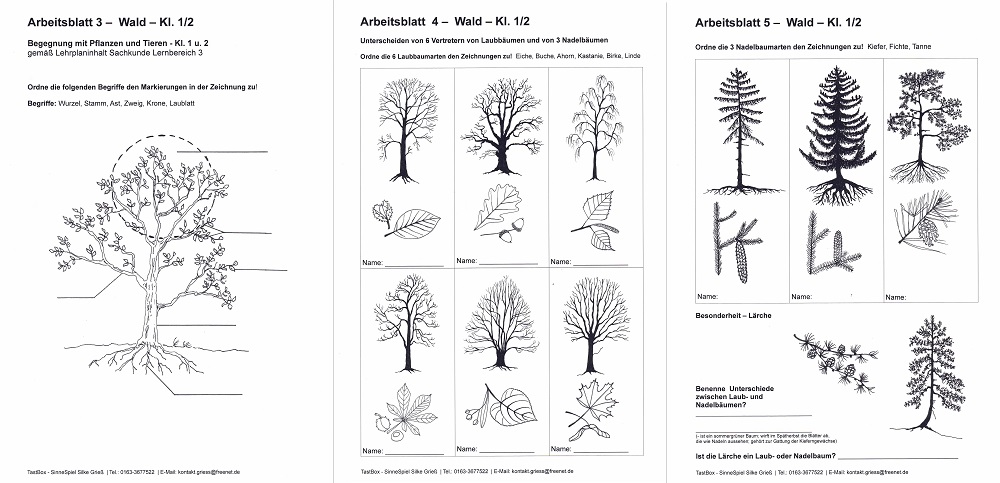 Tastbox Material Silke Grieß